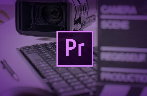 Adobe Premiere Pro 2024(简称PR2024破解版) - 狗凯之家免费源码网